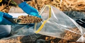 Soil Testing

