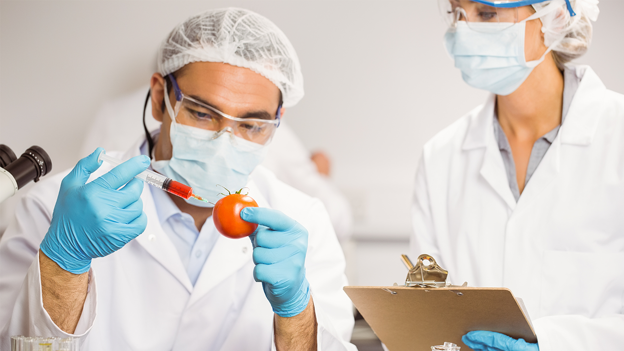 How Food Testing Laboratory Ensure Safety and Quality